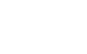 Primato® Techical Partner